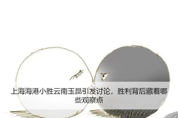 shang-hai-hai-gang-xiao-sheng-yun-nan-yu-kun-yin-fa-tao-lun-sheng-li-bei-hou-cang-zhe-na-xie-guan-cha-dian-2-886.jpg